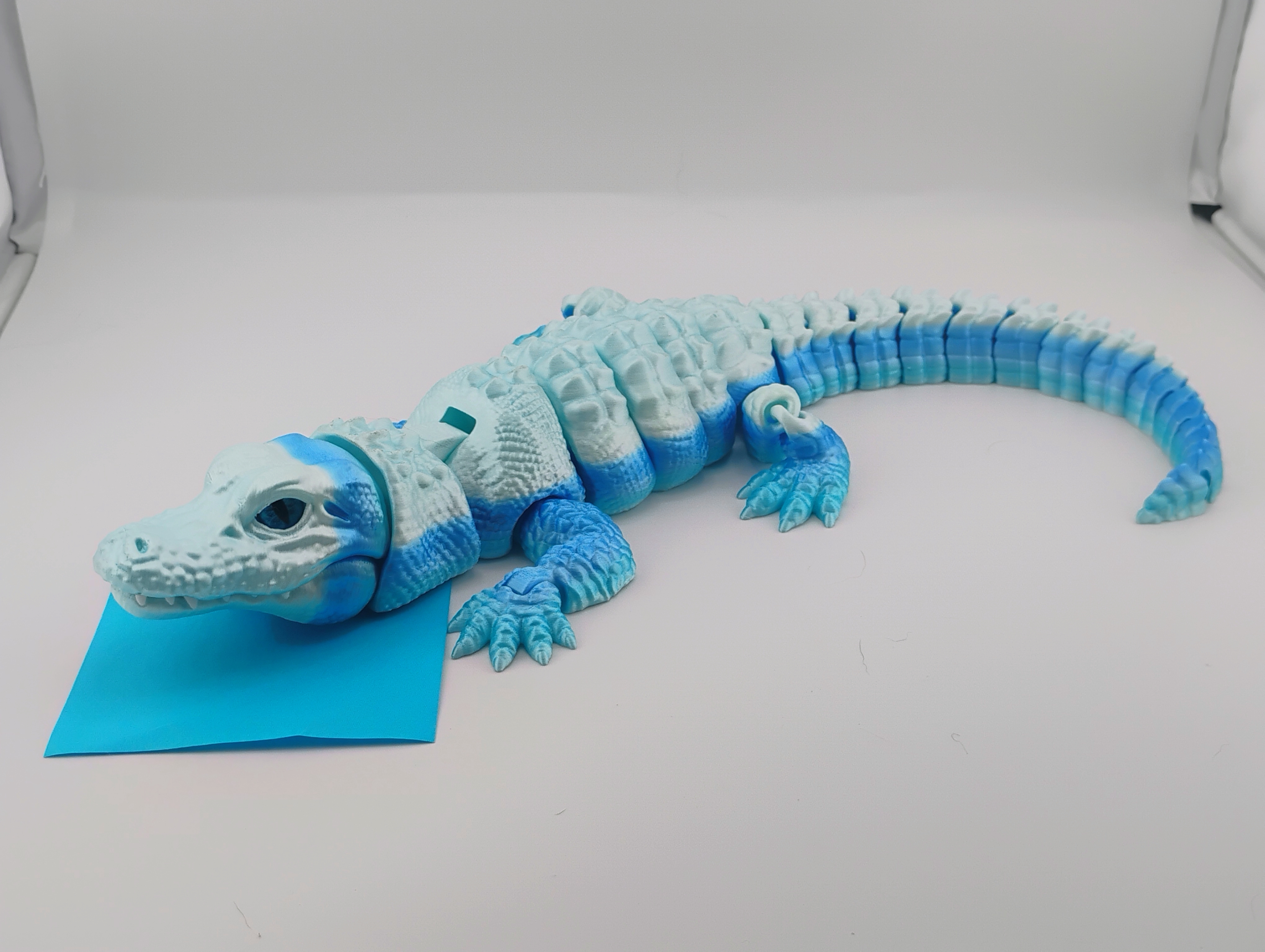 Placeholder Item 6
